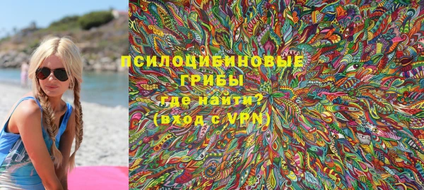 хмурый Алексин