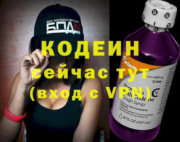 хмурый Алексин