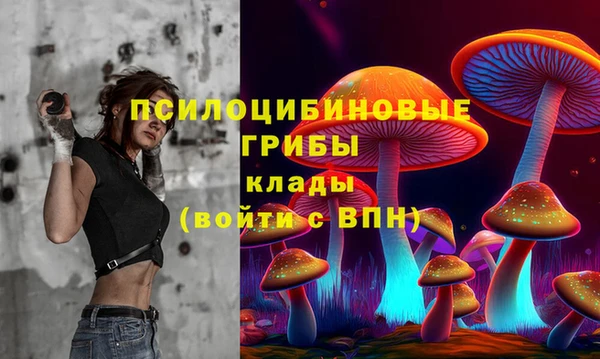 прущие крисы Алексеевка