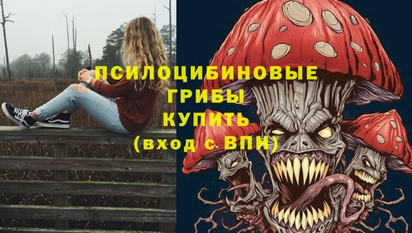 хмурый Алексин
