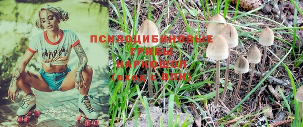 прущие крисы Алексеевка