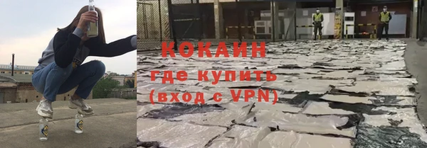 хмурый Алексин